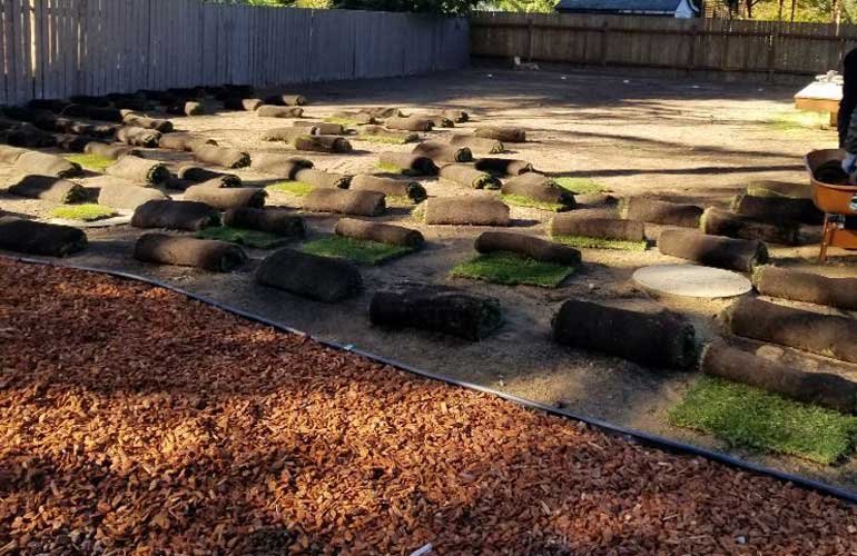 Landscape design project by Pedro Jesus Landscaping
