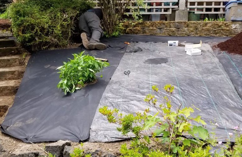 Lawn maintenance project